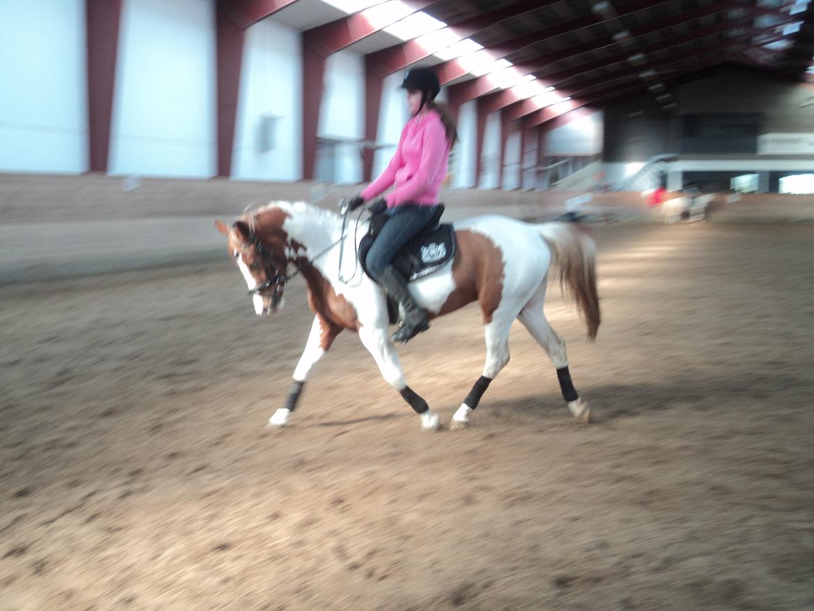 Anden særlig race Mc Queen billede 14