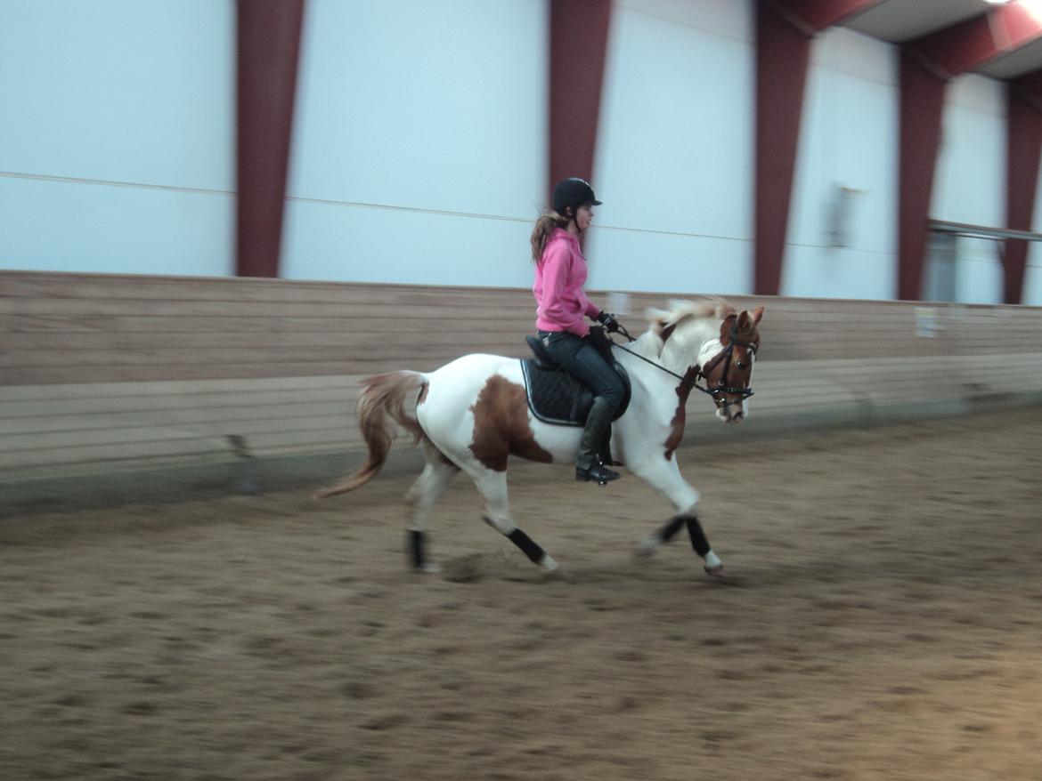Anden særlig race Mc Queen billede 15