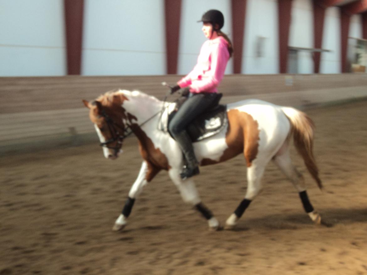 Anden særlig race Mc Queen billede 7