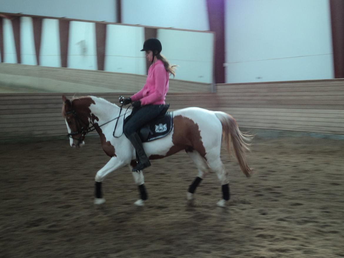 Anden særlig race Mc Queen billede 17