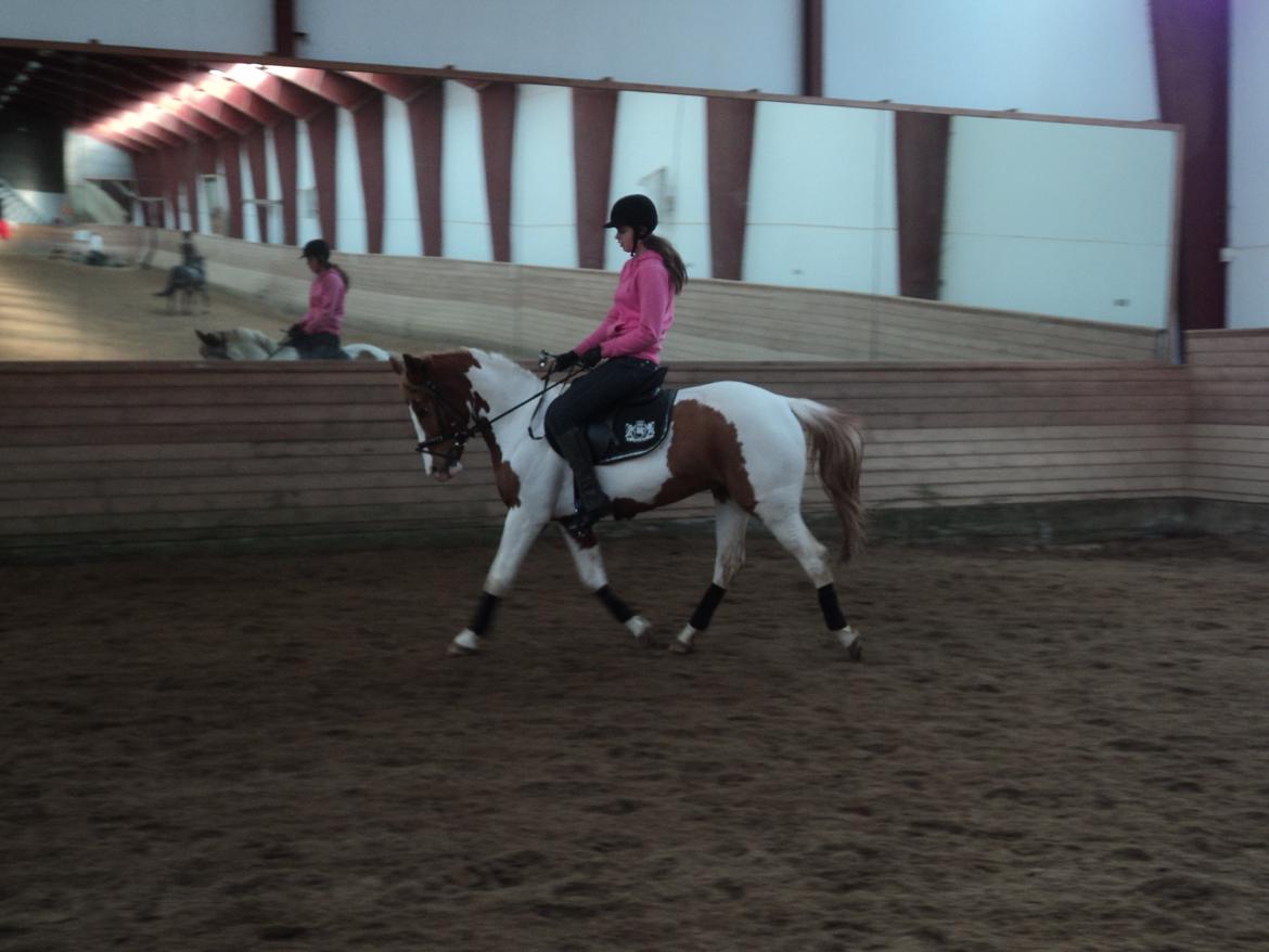 Anden særlig race Mc Queen billede 10