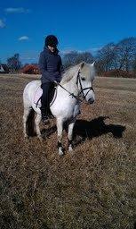 Anden særlig race Uptown Girl *Tøffe*<3 (aflivet) - Smukke<3 billede 5