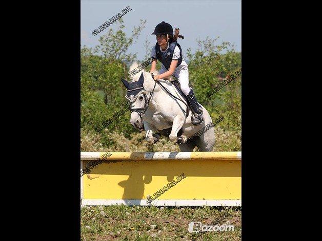 Anden særlig race Uptown Girl *Tøffe*<3 (aflivet) - Tøffe med sin ejer:)<3 billede 8