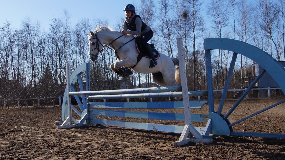 Anden særlig race Jasmin*Solgt )':* <3 - Flyvende over 1 meter med dejligt overskud<3 billede 1