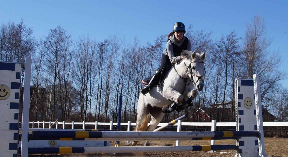 Anden særlig race Jasmin*Solgt )':* <3 billede 2