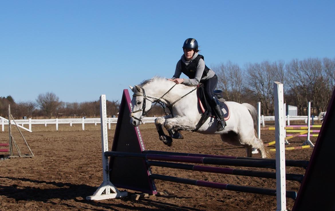 Anden særlig race Jasmin*Solgt )':* <3 billede 9