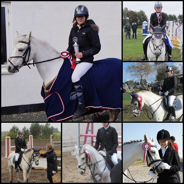 Anden særlig race Jasmin*Solgt )':* <3 - En lille samling ud fra de 10000 rosetter! billede 5