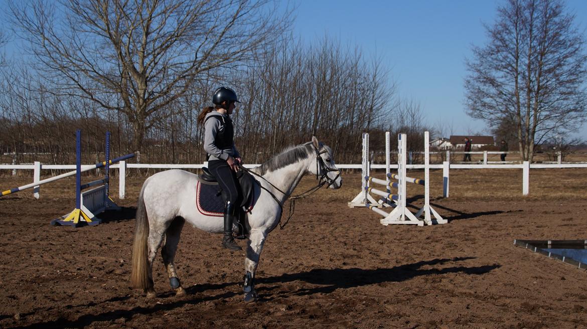 Anden særlig race Jasmin*Solgt )':* <3 billede 19