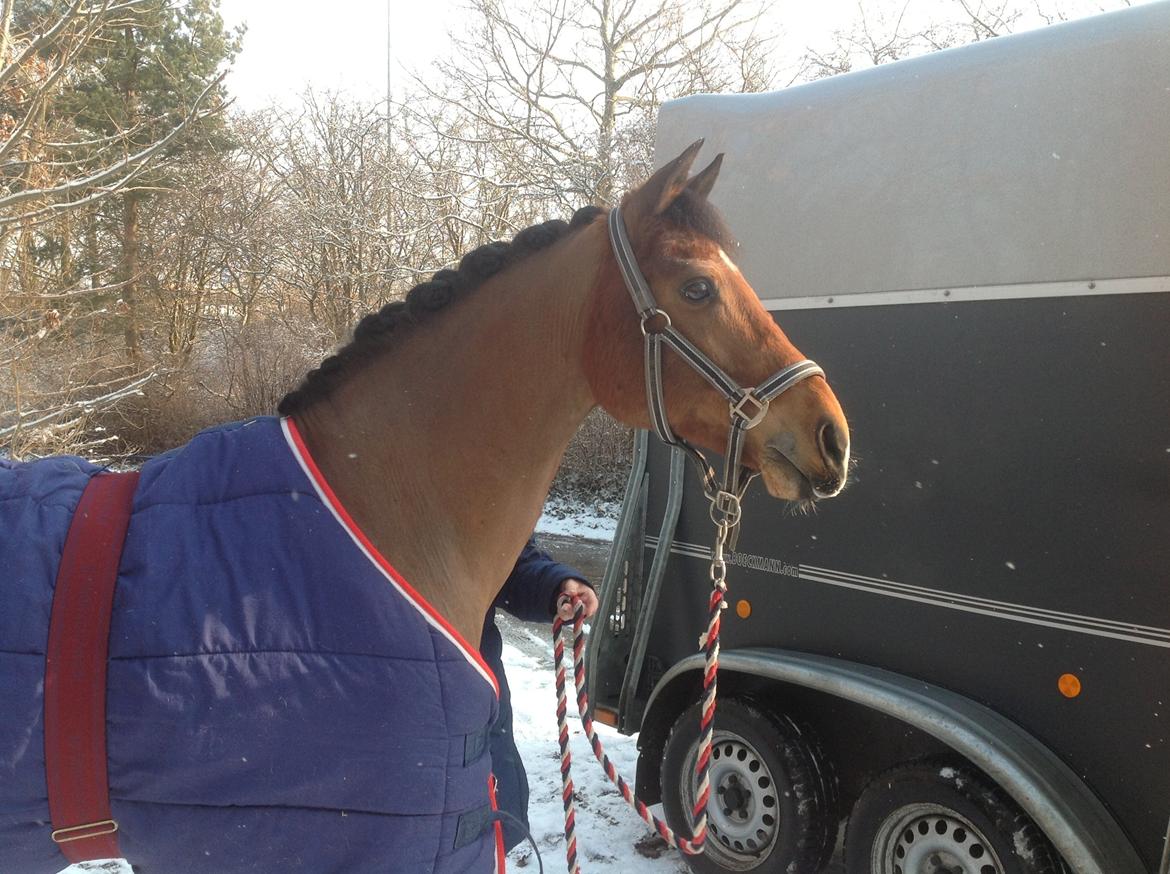 DSP Ambrosius A.M. billede 5