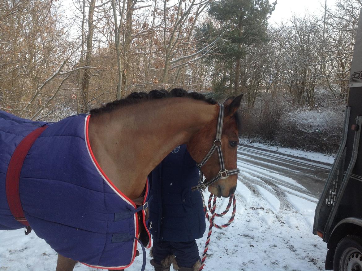 DSP Ambrosius A.M. billede 6