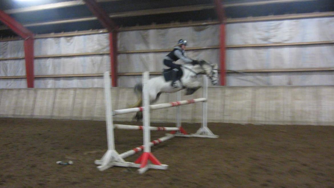 Anden særlig race Jasmin*Solgt )':* <3 billede 20