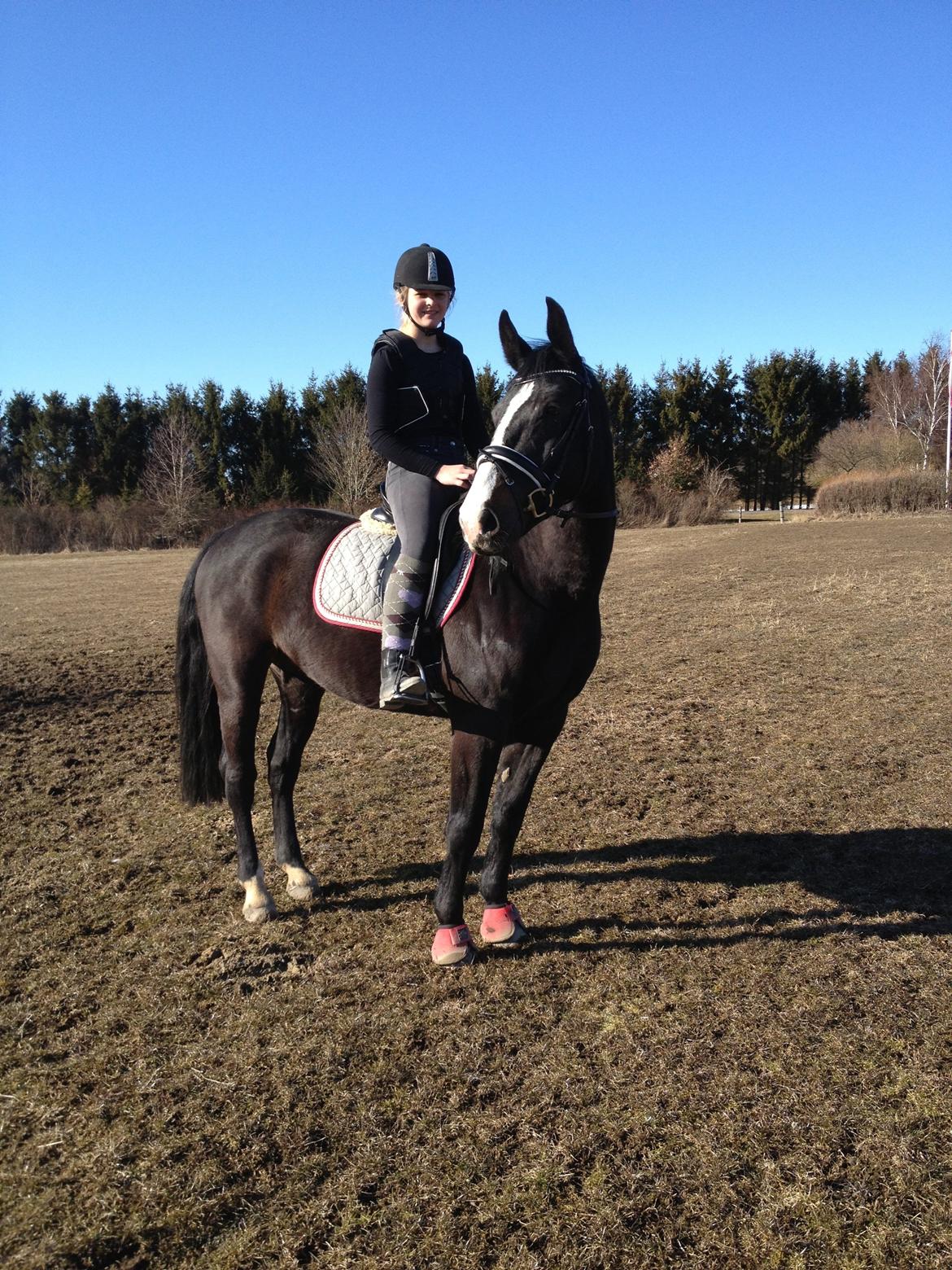 Oldenborg Højgaardens Jasmin billede 11