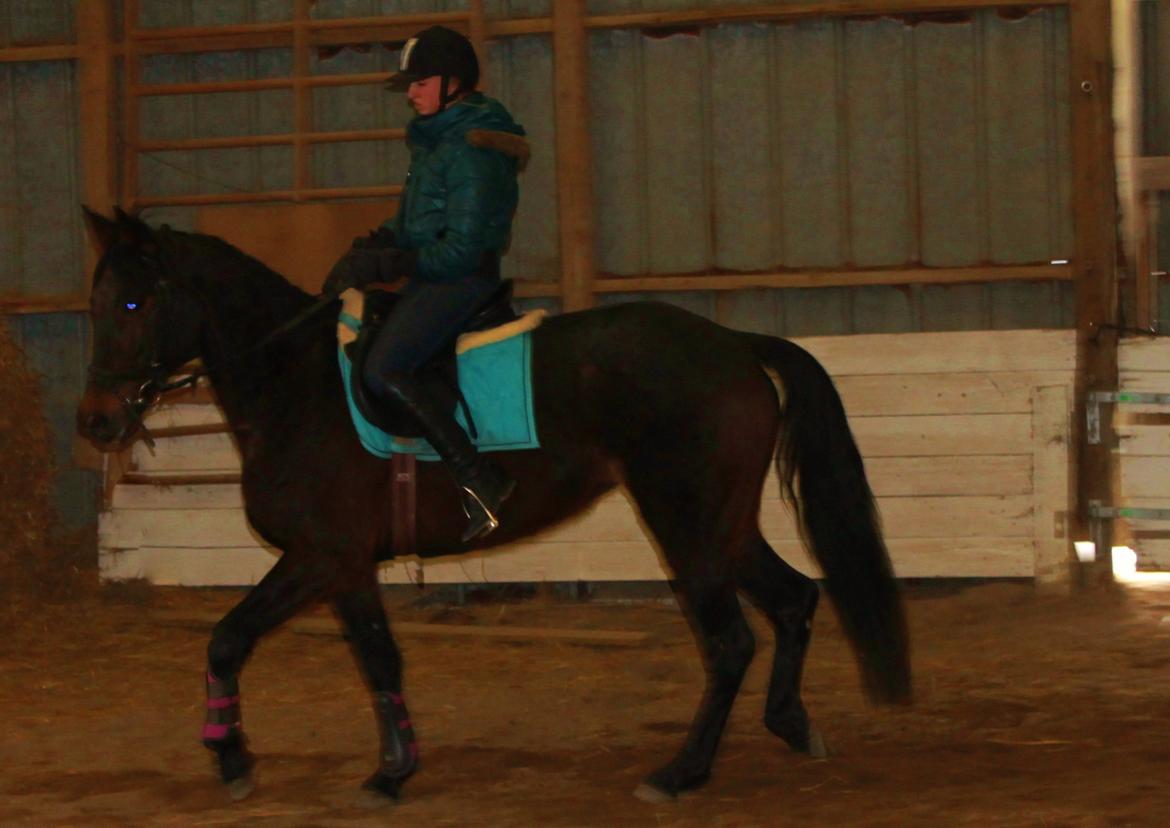 Traver Ragpicker's Dream "Pippi" <3 billede 14