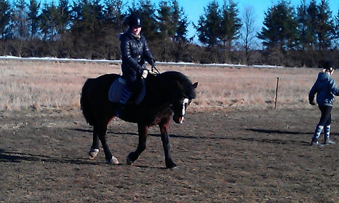 Anden særlig race Pluto - 1/4-13 Dejlige Pluto efter vinterpause:)<3 billede 13