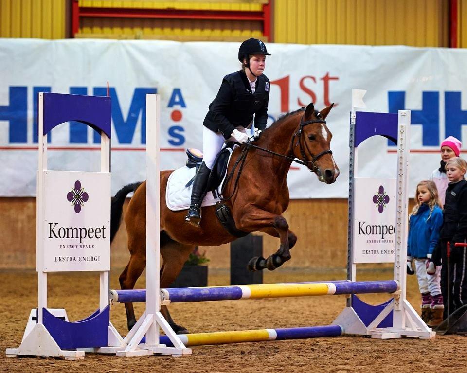 Anden særlig race Helleruphus Celeste (gamle part) - celeste til sit første springstævne med Emilie Rytter på ryggen :) det gik super godt :)
 billede 20