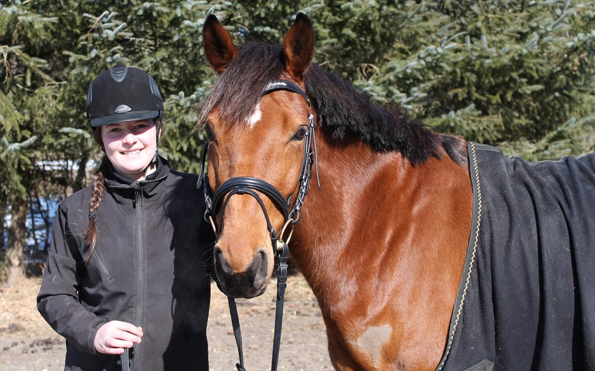 Dansk Varmblod Lucky Capana - fotoshoot d. 24/3 - 2013 billede 14