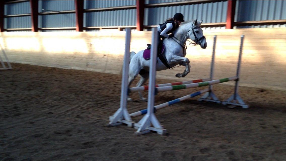 Anden særlig race Pleasure(Plea) <3 <3 billede 15