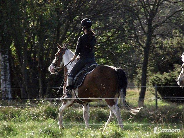 Anden særlig race Camino *CMNS* - NYT- Orw hvor jeg savner sommer !  billede 2