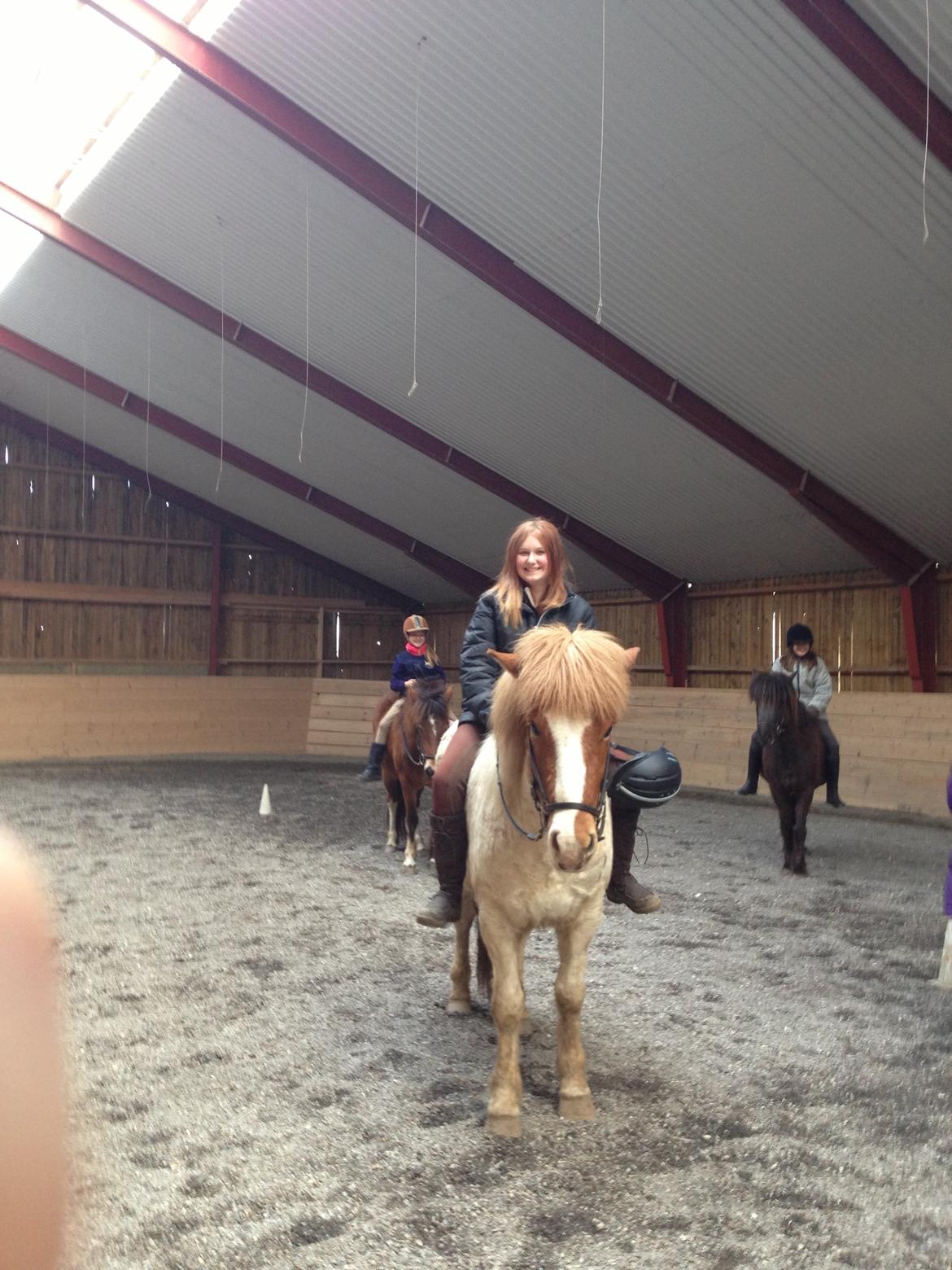 Islænder Girdir billede 12