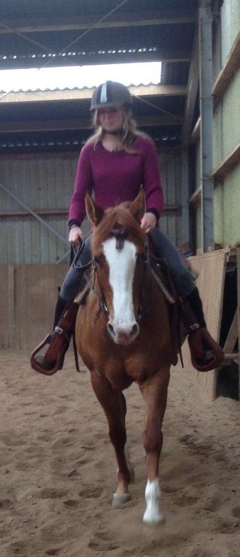 Paint Miss Dakota Salsa - Solgt billede 3