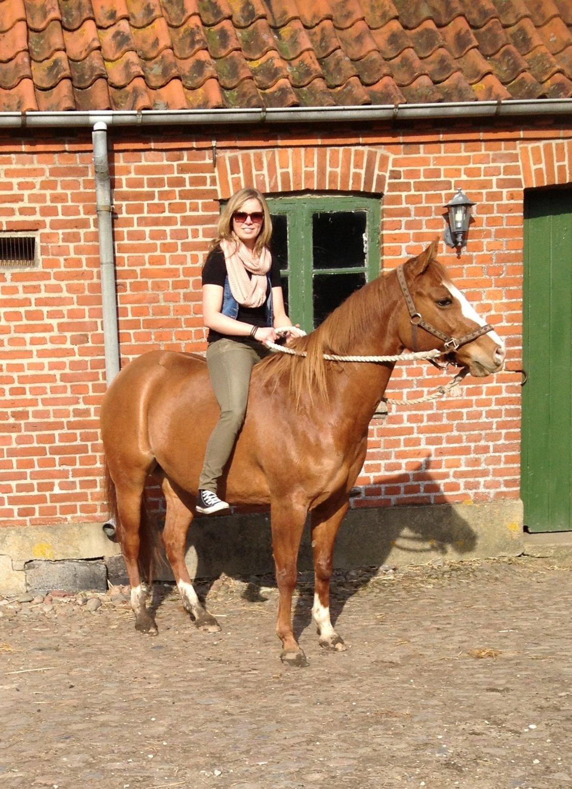 Paint Miss Dakota Salsa - Solgt billede 5