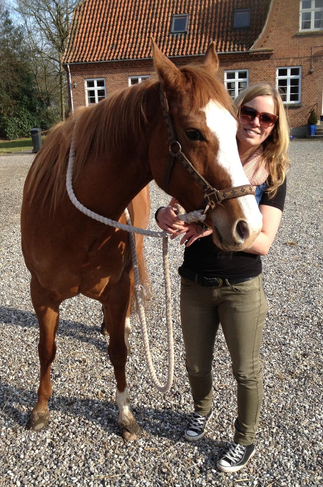 Paint Miss Dakota Salsa - Solgt billede 7