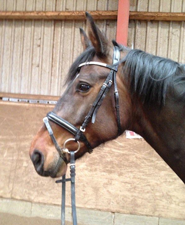 Anden særlig race Farissa - Den smukkeste<3 billede 10