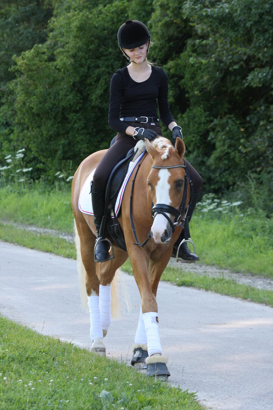 Tysk Sportspony Der Harlekin B A-pony - Første gang jeg sad på ryggen af Harley! billede 14