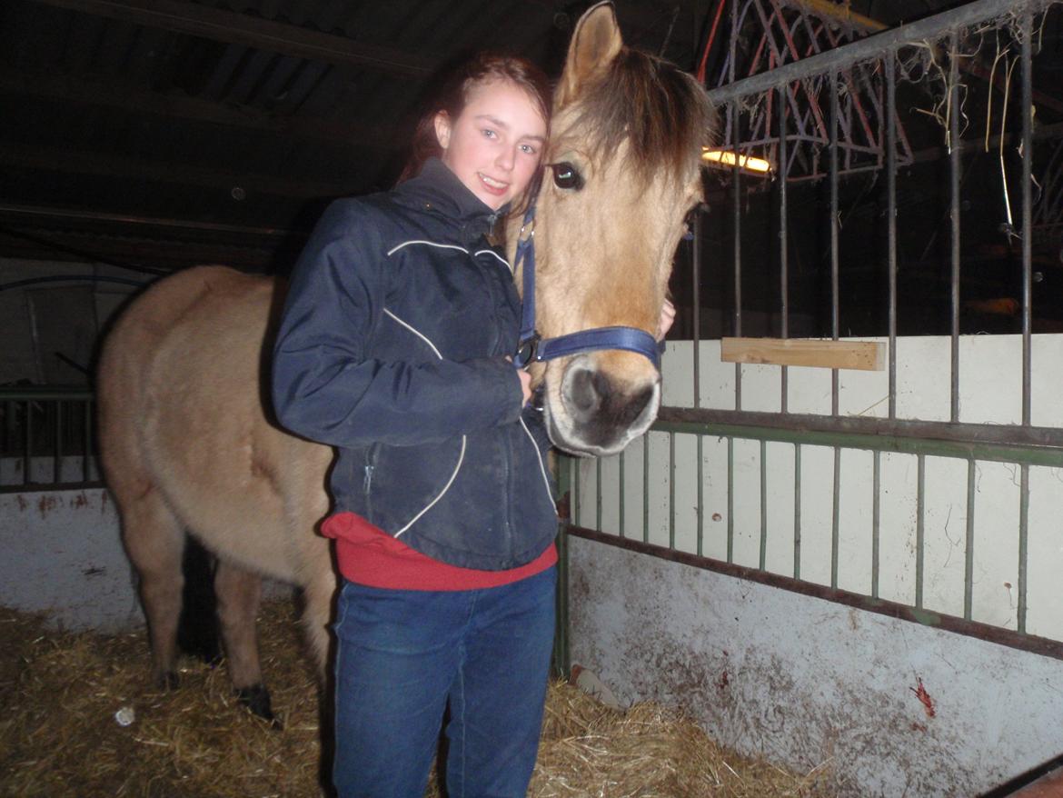 Fjordhest Nelly <3 - Mig og min dejlige stjerne siger tak for besøget! <3 billede 18