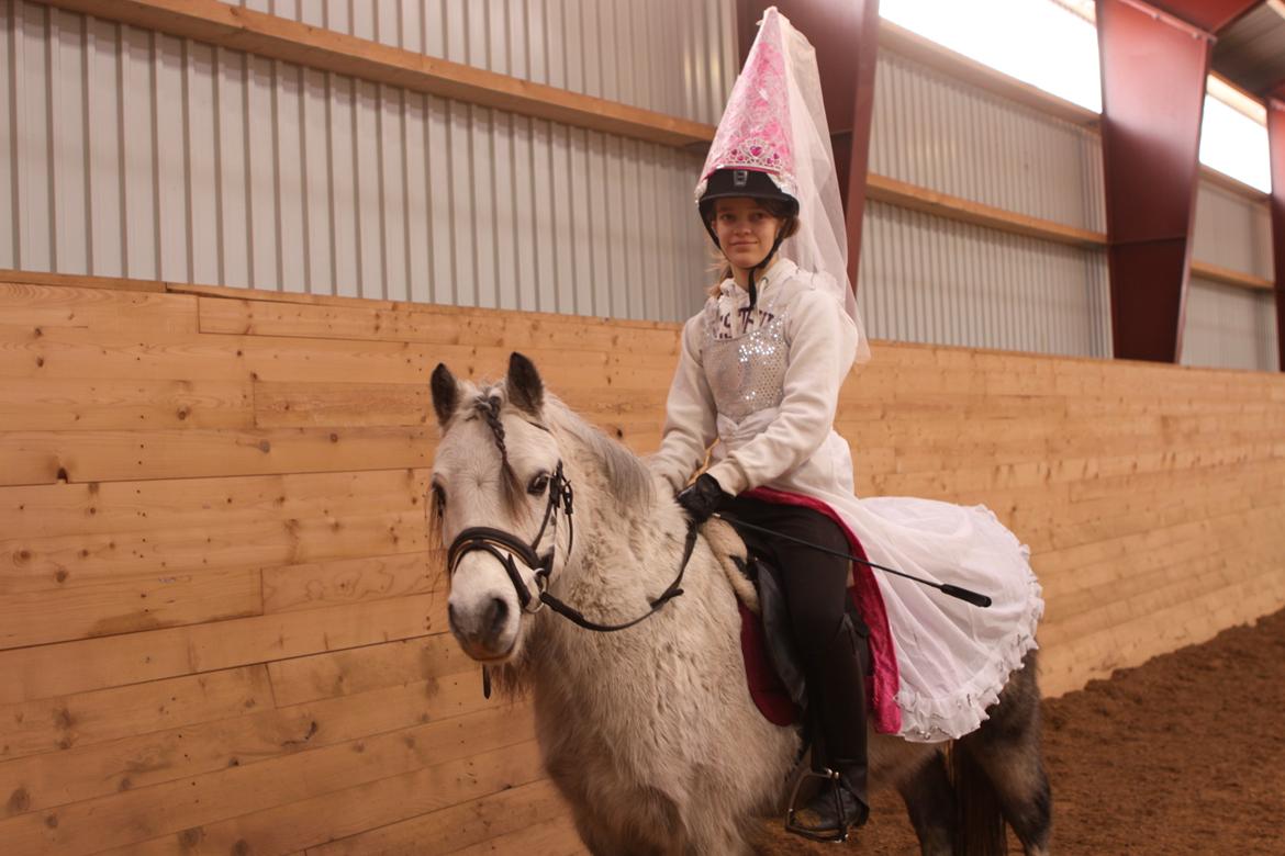 Welsh Pony (sec B) Lukas - Fastelavns stævne på REB. billede 19