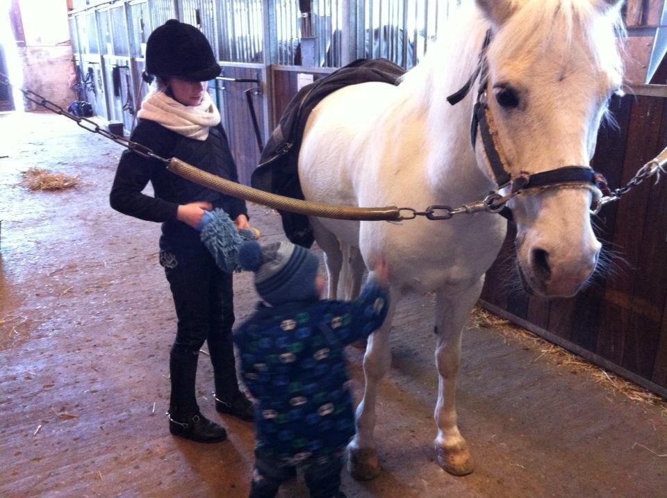 Anden særlig race Chimanos GI Mickey (MICKEY) - Små børn !! <3 .. Elsker dem! billede 5