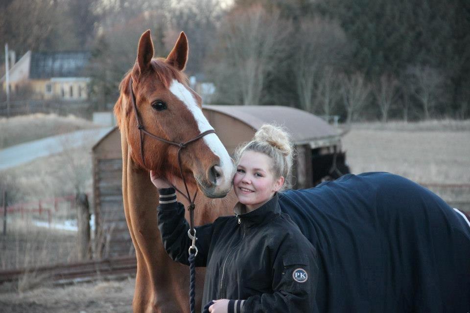 Trakehner Rosita (Bebs) - Verdens bedste bebs <3 billede 19