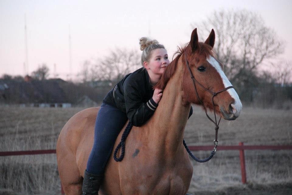 Trakehner Rosita (Bebs) - Sammen med dig, skal alting nok gå <3 billede 16