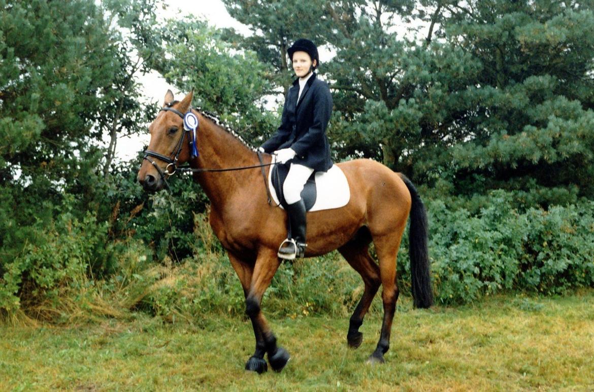 Anden særlig race Eternal Jive billede 7