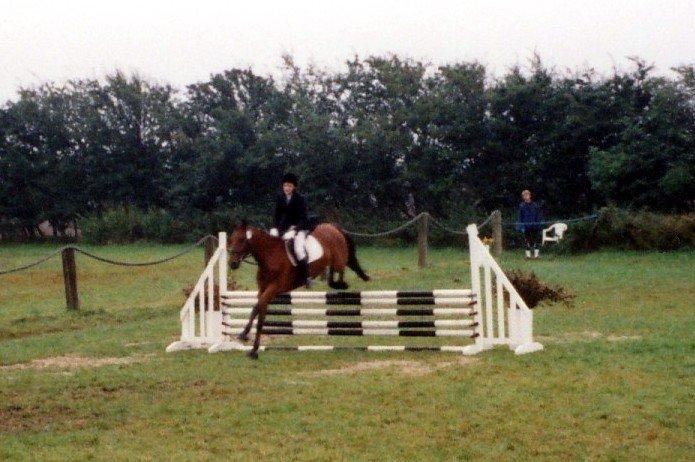 Anden særlig race Eternal Jive - Nibe stævne billede 12