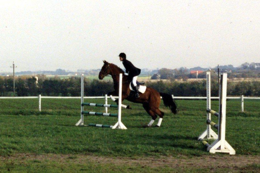 Anden særlig race Eternal Jive - Nsk stævne billede 14
