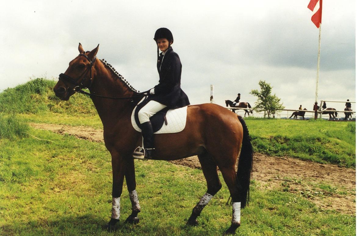 Anden særlig race Eternal Jive billede 3