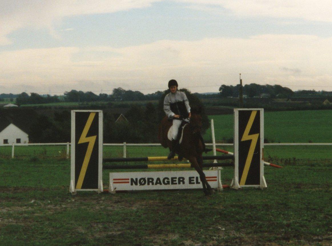 Anden særlig race Eternal Jive - NSK stævne i regn! billede 15