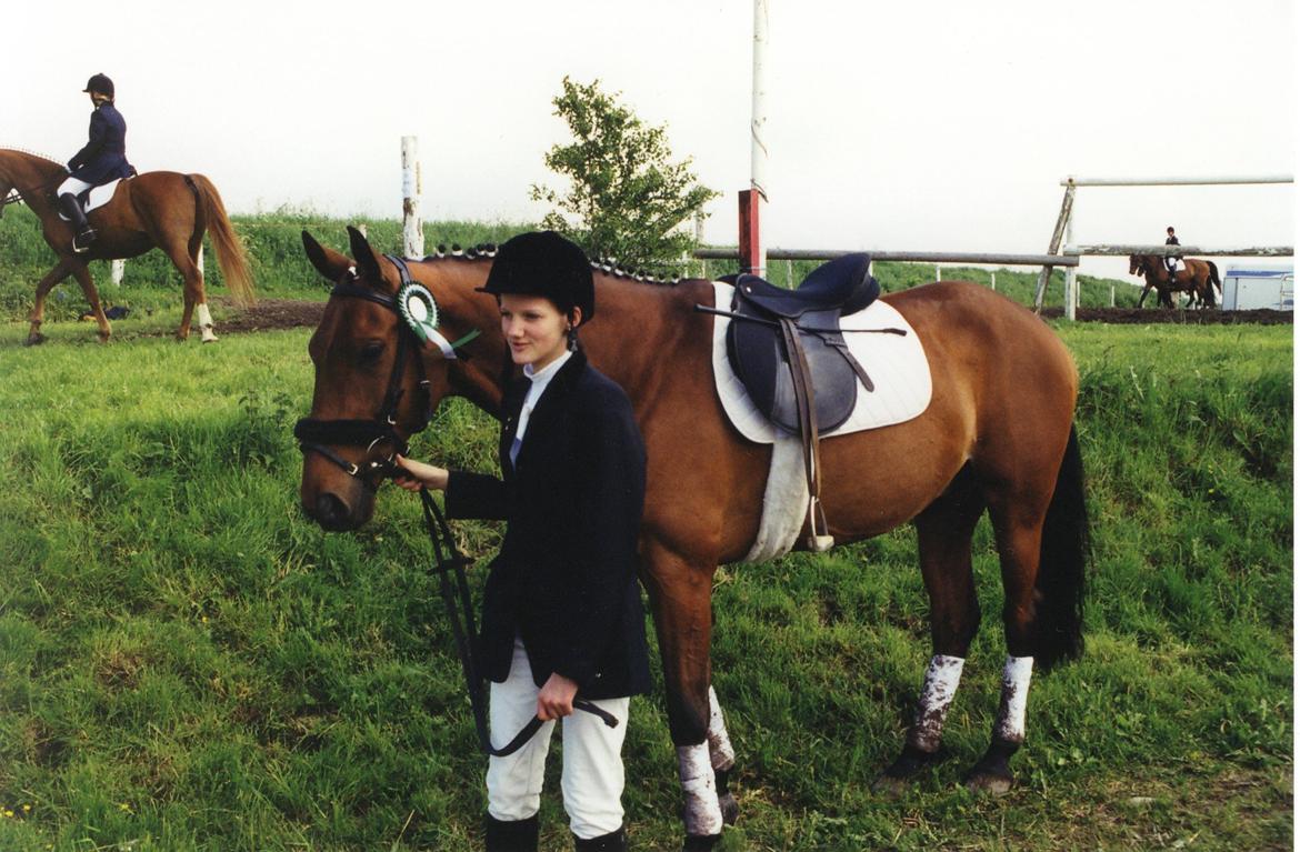 Anden særlig race Eternal Jive - NSK (Nørager) stævne billede 4