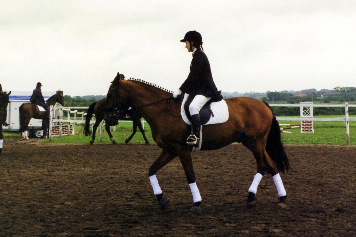 Anden særlig race Eternal Jive - NSK stævne opvarmning billede 17