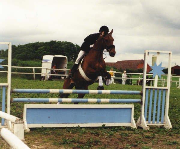 Anden særlig race Eternal Jive - NSK (Nørager) stævne billede 6