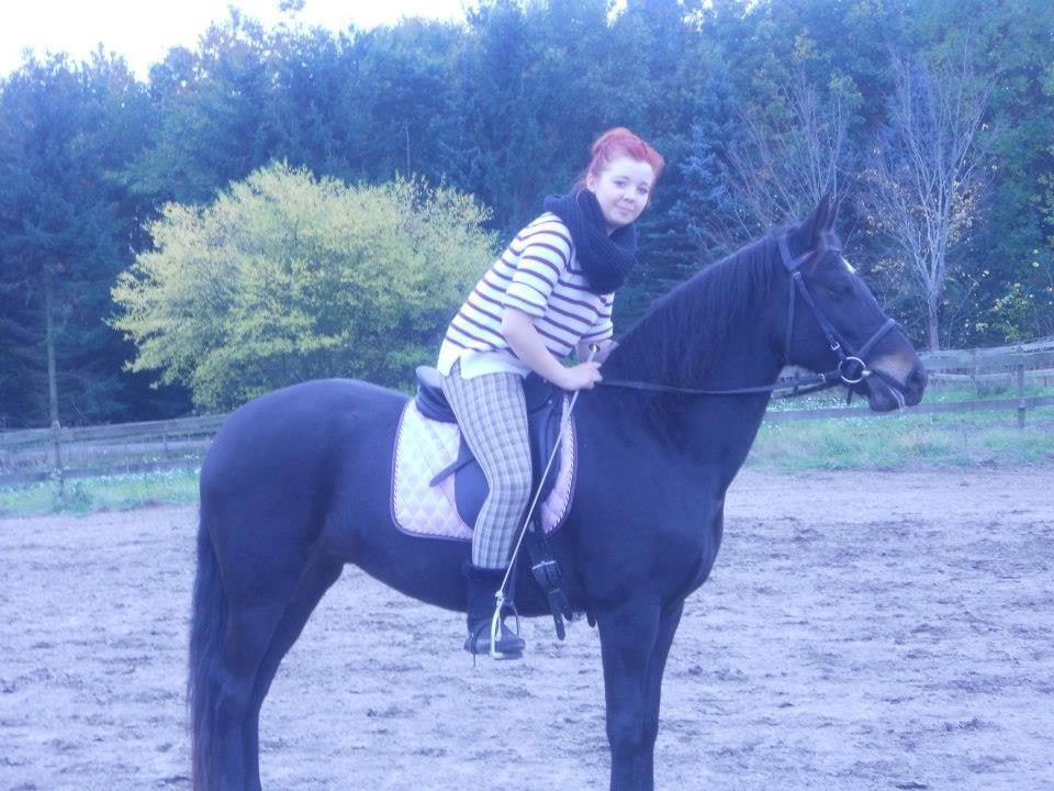 New Forest Queenshill Savannah - Velkommen til Savannah's profil - like ninja's :3  billede 1