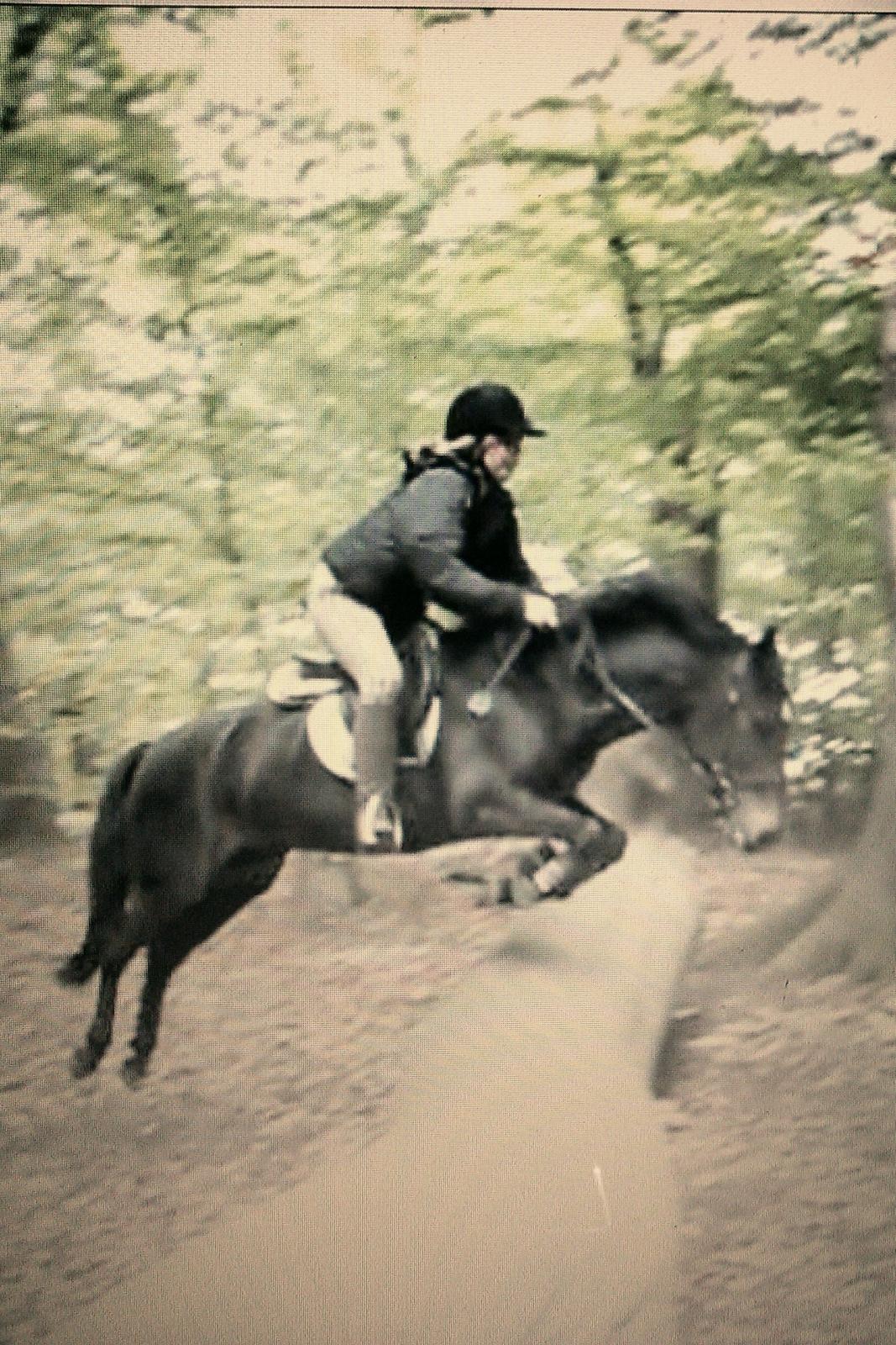 New Forest Queenshill Savannah - Flying like nobody else.  billede 12