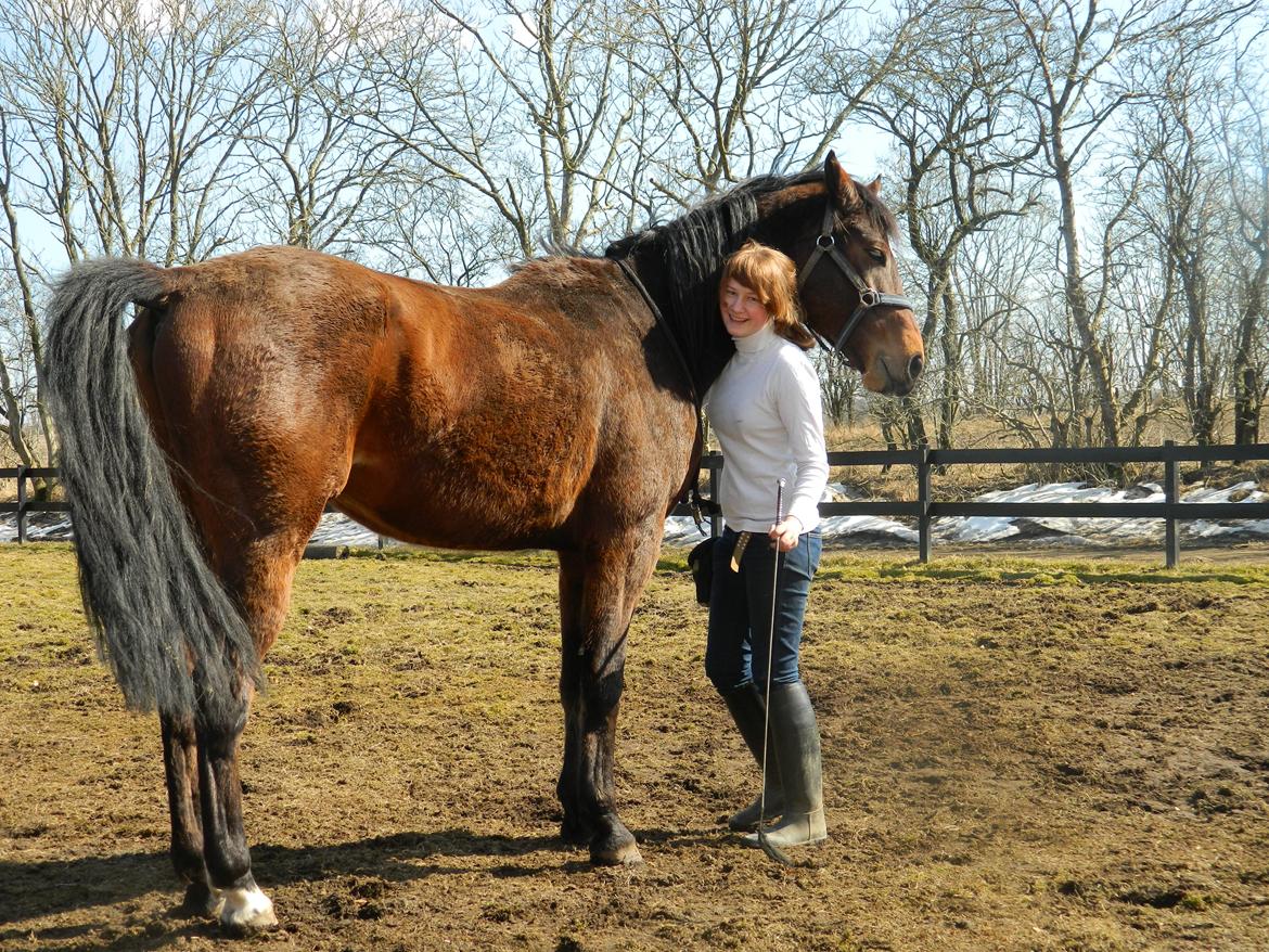 Dansk Varmblod Stenager's Remember Me - 03.04.13 - Han er så dygtig til at give knus! :-) billede 11