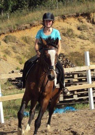 Dansk Varmblod Bakkegårdens Minka billede 1