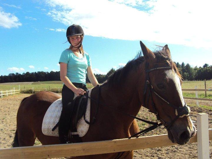 Dansk Varmblod Bakkegårdens Minka billede 4