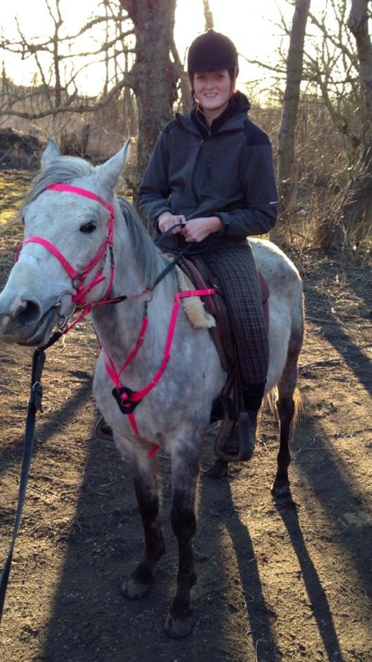 Anden særlig race India - Efter min første tur på ryggen af hende! Hun var så sød! :-) 4/4-13 billede 14