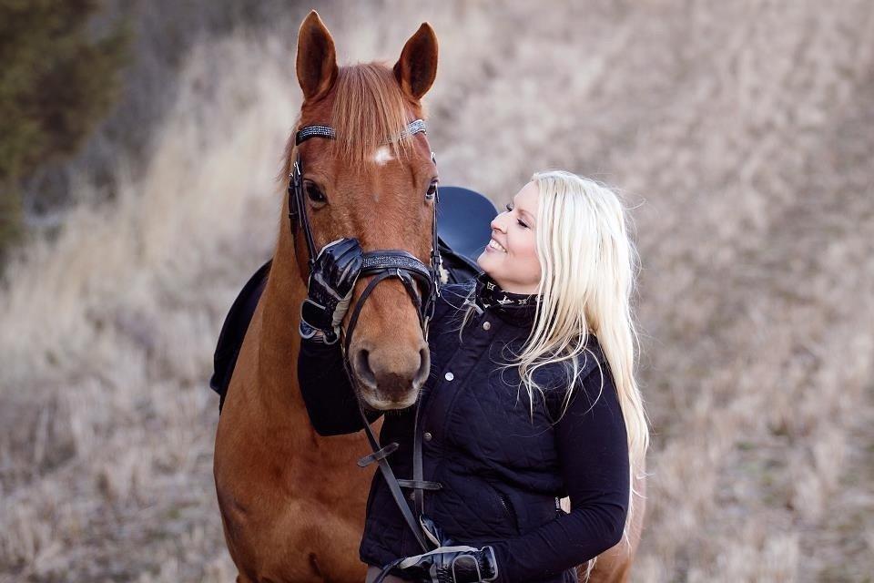 Trakehner Hannibal R.I.P billede 18