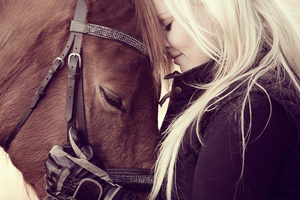 Trakehner Hannibal R.I.P billede 20