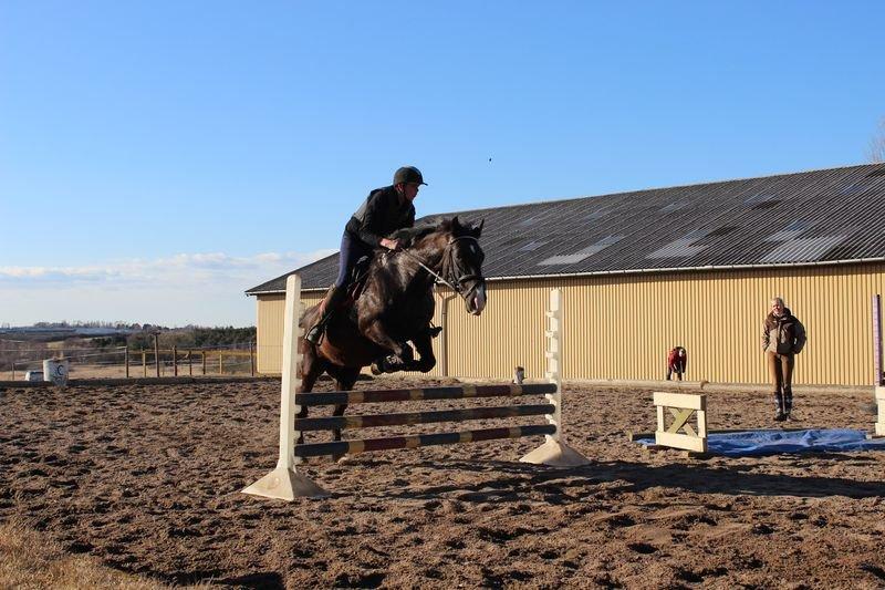 Oldenborg Petrea - Første udendørs træning :-) billede 5